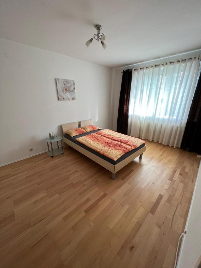 Sehr Gemutliche Wohnung Baden Kültér fotó
