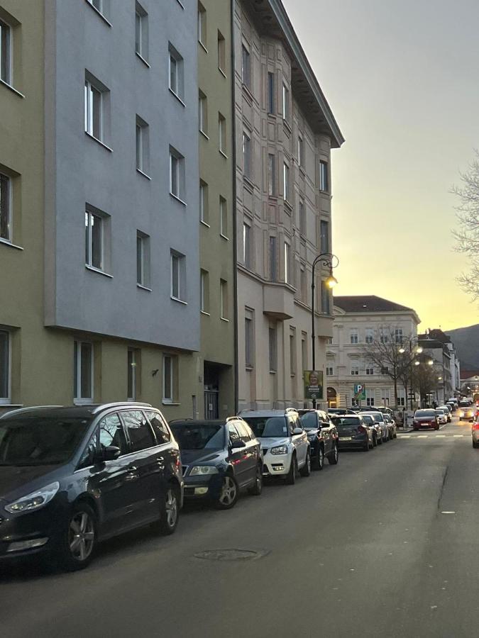 Sehr Gemutliche Wohnung Baden Kültér fotó